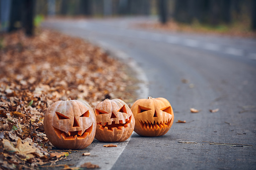 Halloween Pumpkins on the side of the road.